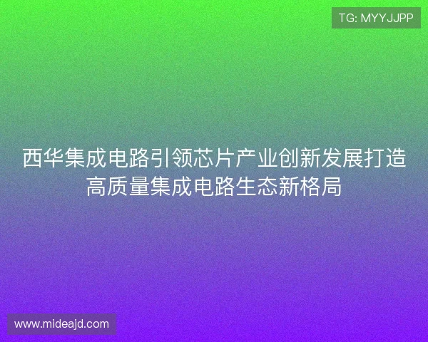 西华集成电路引领芯片产业创新发展打造高质量集成电路生态新格局